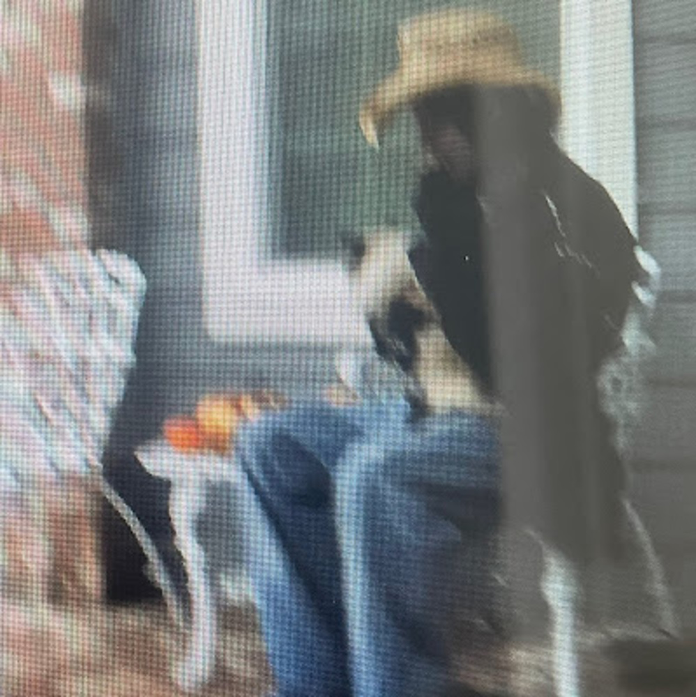 Meet your Posher, Gavin